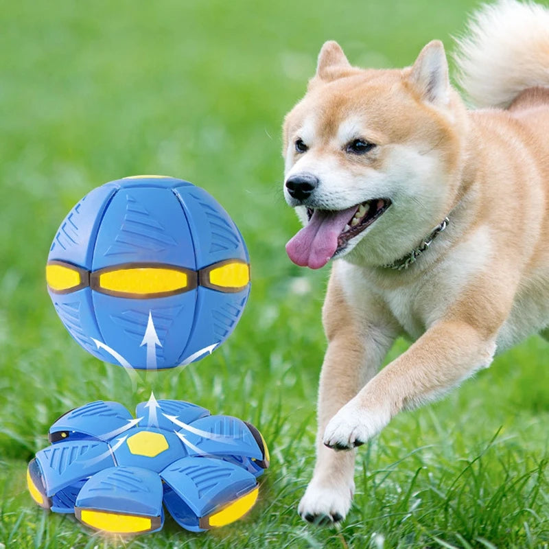 Futuristic Saucer Ball Toy – Interactive Flying Disc for Dogs